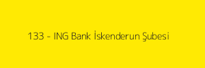 133 - ING Bank İskenderun Şubesi